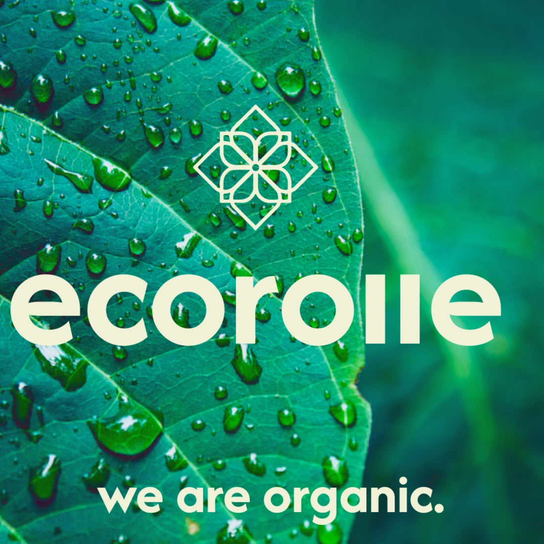 Willkommen bei Ecorolle!